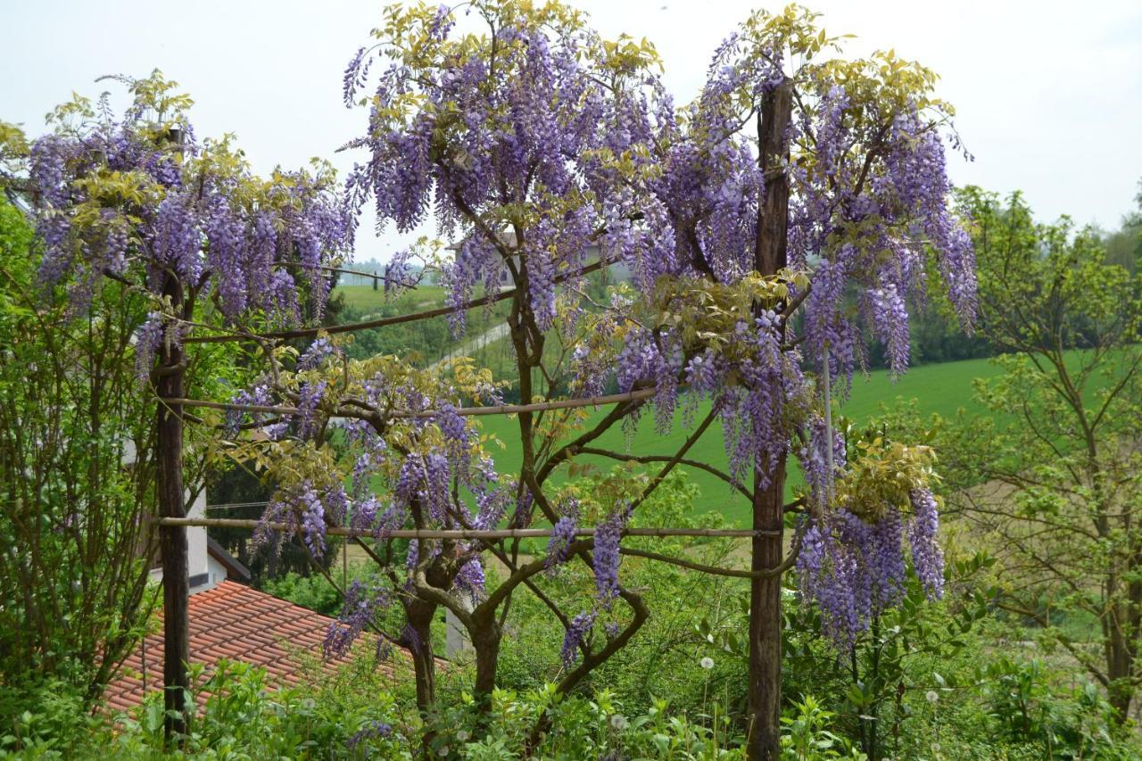 Casa dei Ciliegi Castell'Alfero Villa Esterno foto